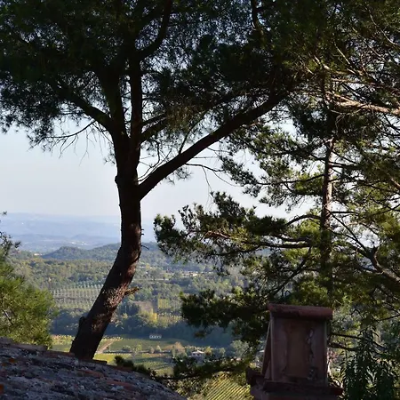 Il Buonumore