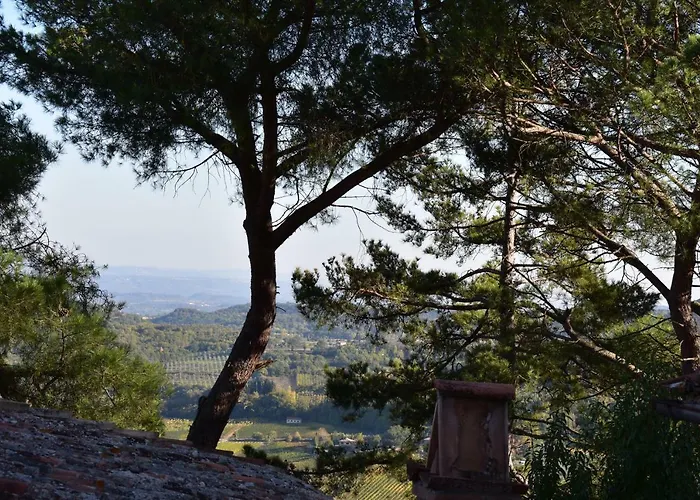 Il Buonumore
